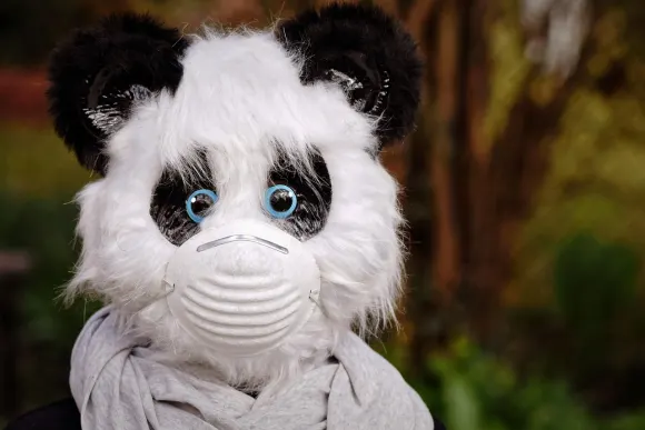 SpinShake Kasino Tuki